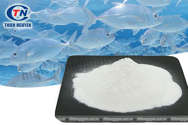 Nguyên liệu Fish Collagen cho sản xuất TPBVSK